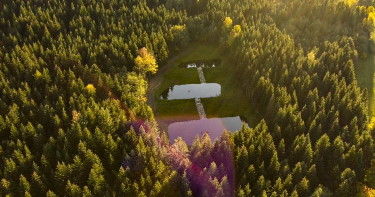 Limanowskie nadleśnictwo w projekcie retencji i ochrony przed erozją