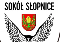 Sokół zaskoczył Glinika, ale odpowiedź rywali była zdecydowana - zdjęcie główne