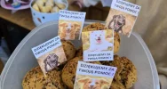 Uczniowie wsparli fundację pomagającą zwierzętom - zdjęcie 5
