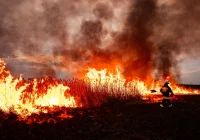 Pożar w Biebrzańskim PN rozszerza się. Dziś więcej śmigłowców, w tym Black Hawk policji - zdjęcie główne