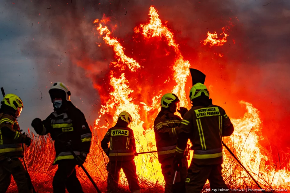 Pożar w Biebrzańskim PN rozszerza się. Dziś więcej śmigłowców, w tym Black Hawk policji - zdjęcie 4