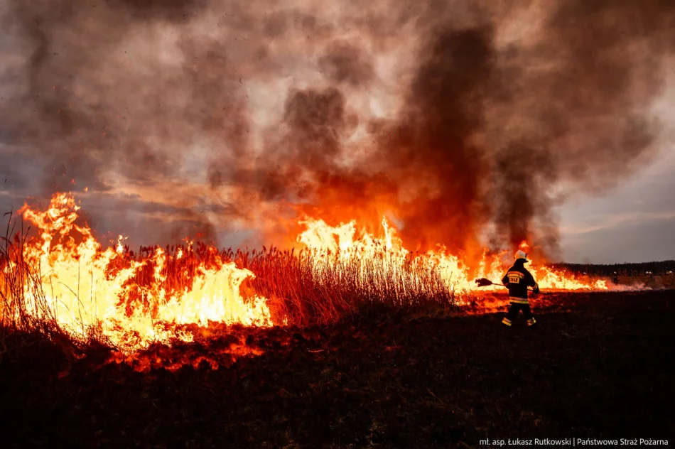 Pożar w Biebrzańskim PN rozszerza się. Dziś więcej śmigłowców, w tym Black Hawk policji - zdjęcie 6