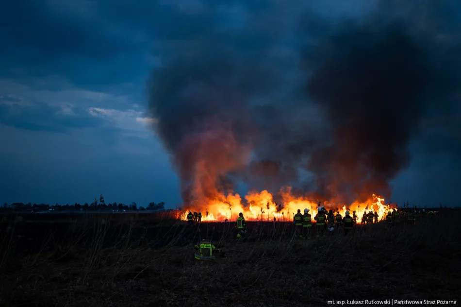 Pożar w Biebrzańskim PN rozszerza się. Dziś więcej śmigłowców, w tym Black Hawk policji - zdjęcie 7