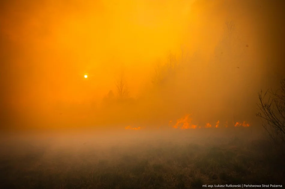 Pożar w Biebrzańskim PN rozszerza się. Dziś więcej śmigłowców, w tym Black Hawk policji - zdjęcie 8