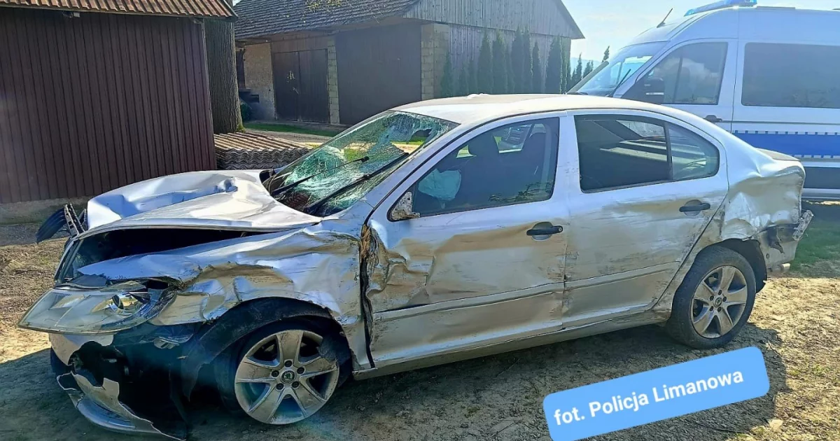 Kierowca, który śmiertelnie potrącił dziecko, był pijany