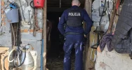 Interwencja policji - odebrano zaniedbane zwierzęta - zdjęcie 2
