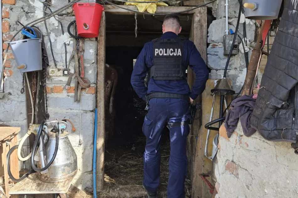 Interwencja policji - odebrano zaniedbane zwierzęta - zdjęcie 2