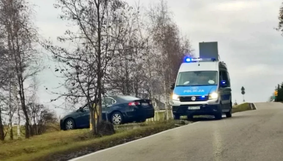 Uderzyła w policyjny radiowóz - zdjęcie 1
