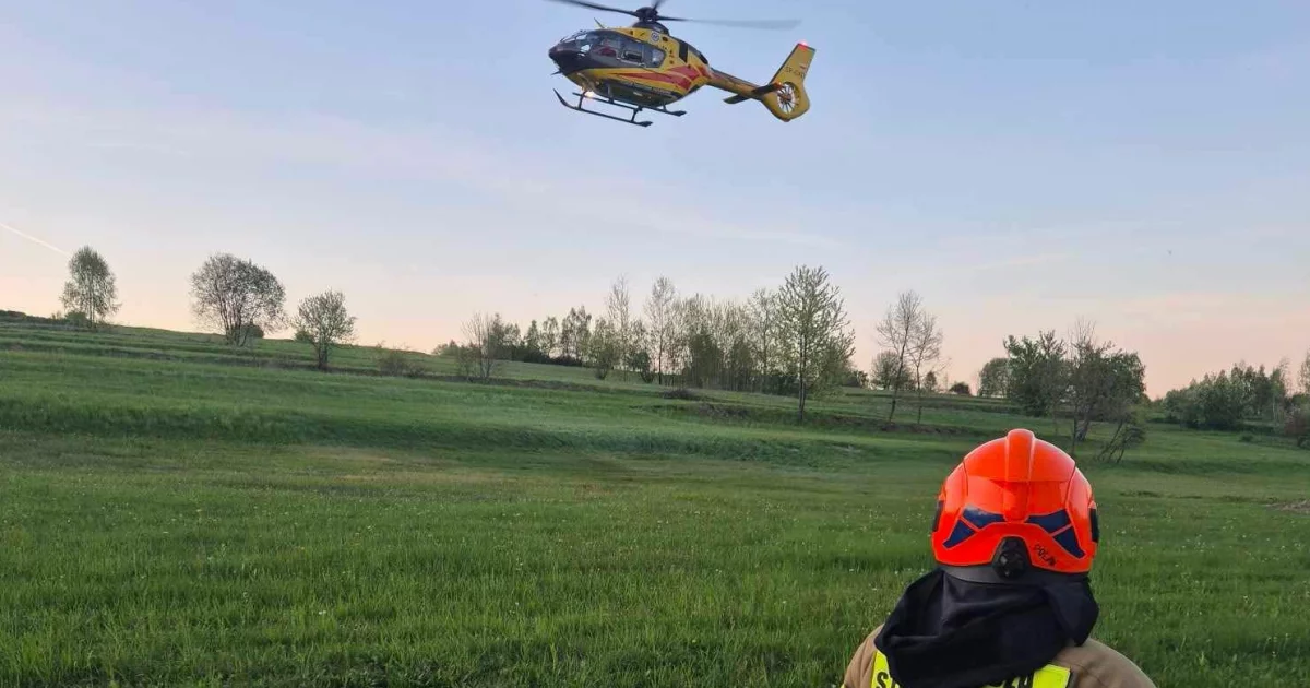 Strażacy pomogli w akcjach ratunkowych