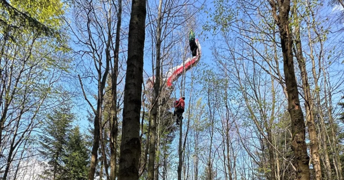 Paralotniarka zawisła na drzewie