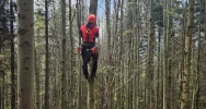Paralotniarka zawisła na drzewie - zdjęcie 2