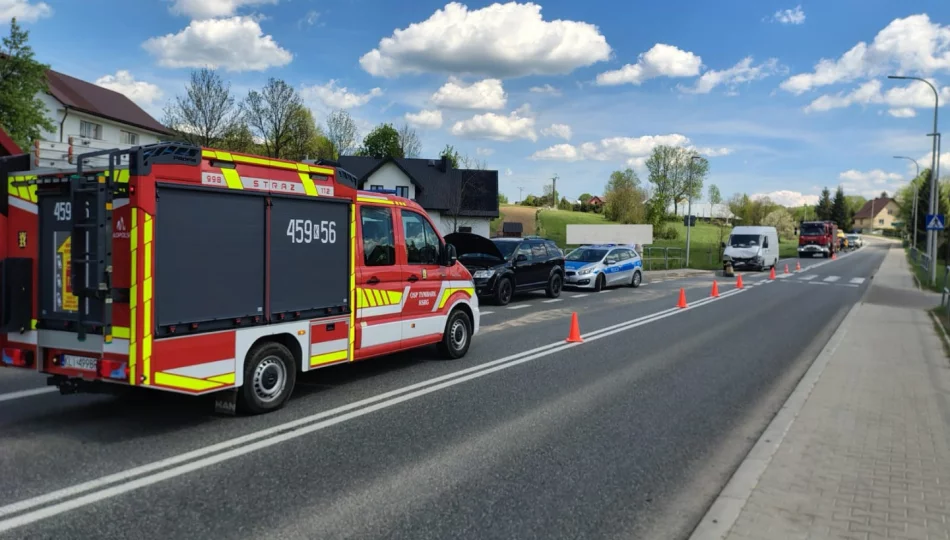Dwie osoby, w tym dziecko, trafiły do szpitala - zdjęcie 1