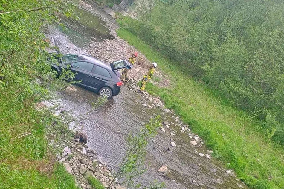 Audi uderzyło w drzewo i wpadło do rzeki  - zdjęcie 2