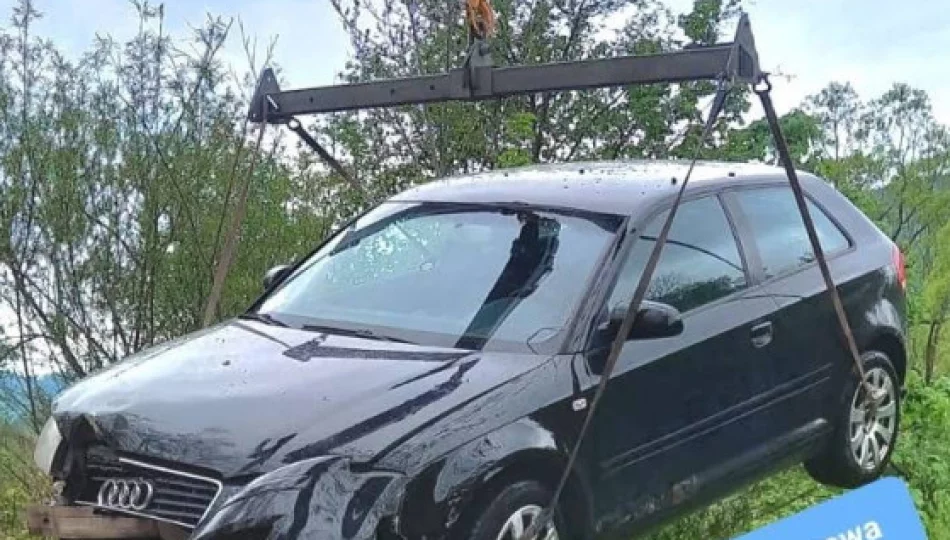 Audi uderzyło w drzewo i wpadło do rzeki  - zdjęcie 1