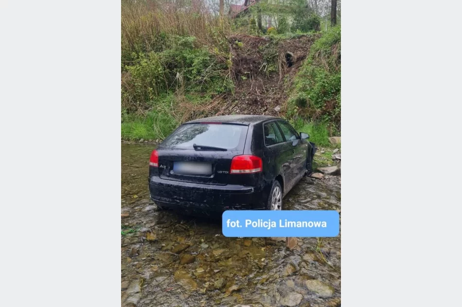 Audi uderzyło w drzewo i wpadło do rzeki  - zdjęcie 3