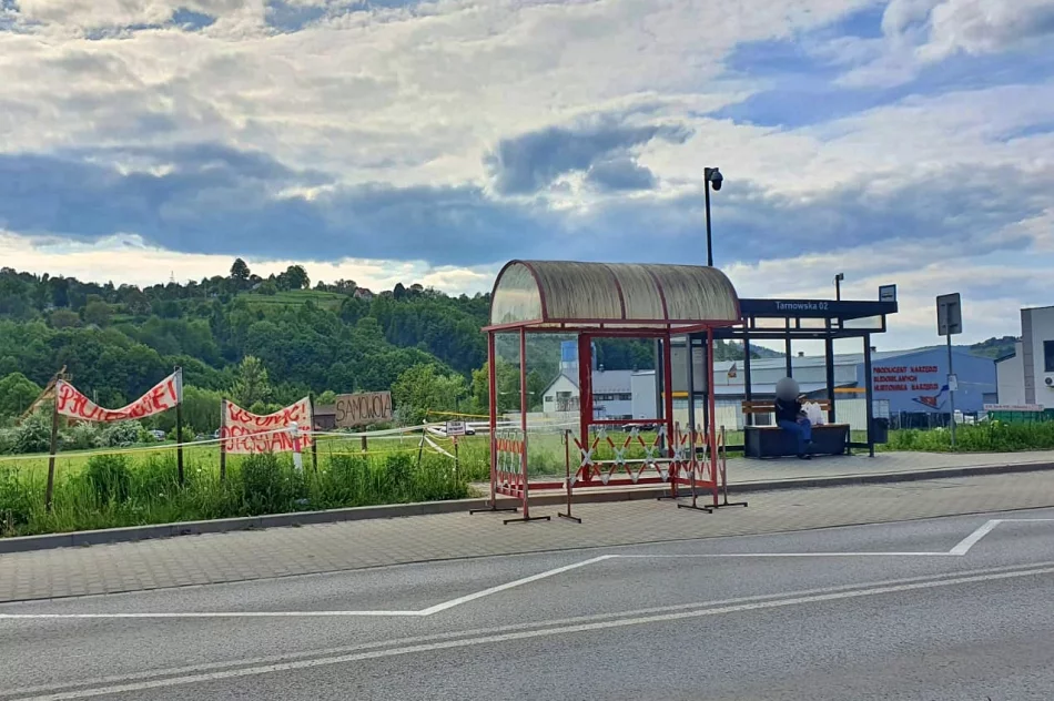 Kuriozalny przystanek - ciąg dalszy  - zdjęcie 3