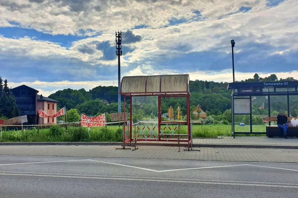 Kuriozalny przystanek - ciąg dalszy  - zdjęcie 5