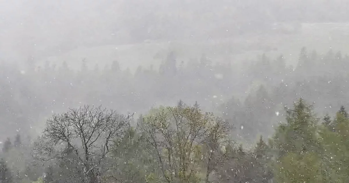 15 maja sypie... śnieg i to nie koniec