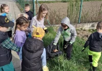 Mieszkańcy włączyli się w akcję sprzątania - zdjęcie główne