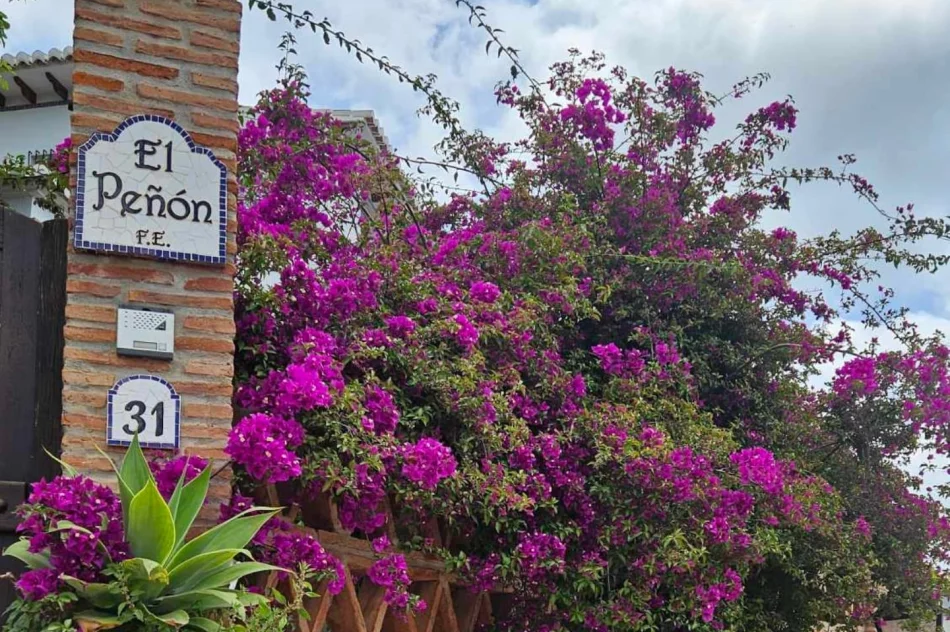 Uczniowie “Ekonoma” na praktykach zawodowych w Hiszpanii (ZDJĘCIA) - zdjęcie 3