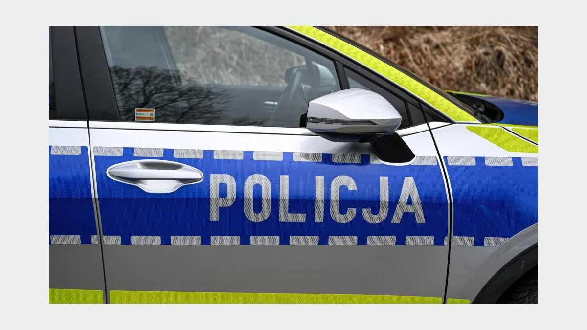 Kierowcy ukarani mandatami