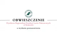 Obwieszczenie Dr Regionalnej Dyrekcji Lasów Państwowych w Krakowie o wydaniu postanowienia - zdjęcie główne