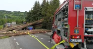 Ustalenia policji: sprawca wyprzedzał - zdjęcie 4
