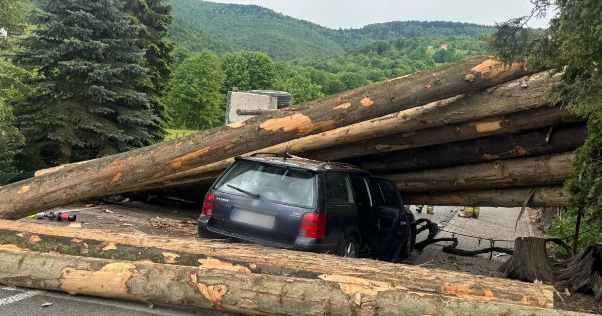 Drogowe "Oszukać przeznaczenie". Zamiast mandatu - sprawa w sądzie