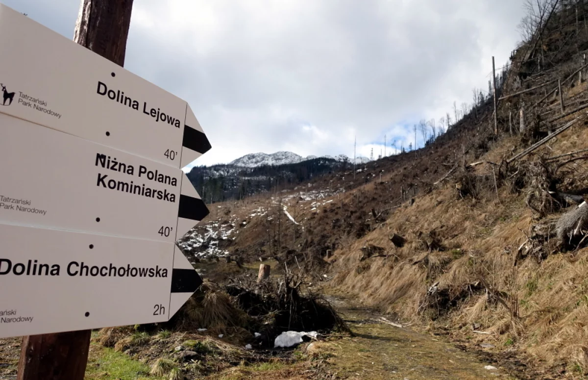 Tatry: szlak turystyczny do kaplicy na Polanie Chochołowskiej zamknięty na miesiąc