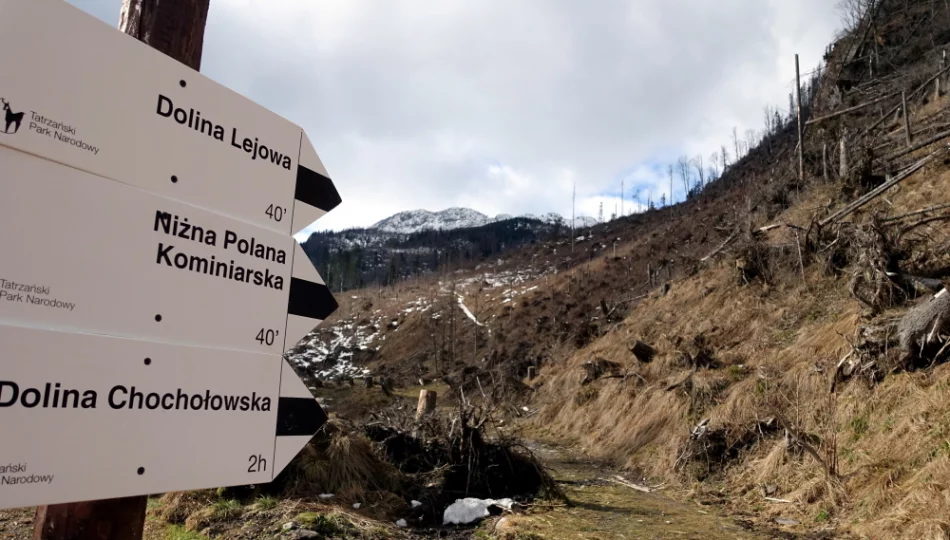 Tatry: szlak turystyczny do kaplicy na Polanie Chochołowskiej zamknięty na miesiąc - zdjęcie 1