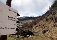 Tatry: szlak turystyczny do kaplicy na Polanie Chochołowskiej zamknięty na miesiąc - zdjęcie główne