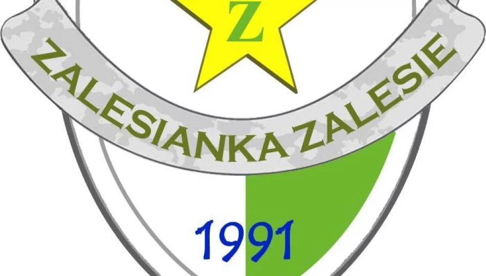 Wielka nieskuteczność Zalesianki. Obawy przed degradacją. - zdjęcie 1