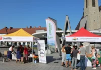 Po raz szósty będą promować regionalne smaki - zdjęcie główne
