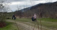 Ponad 300 osób zaangażowanych, zebrano 440 worków odpadów - zdjęcie 4
