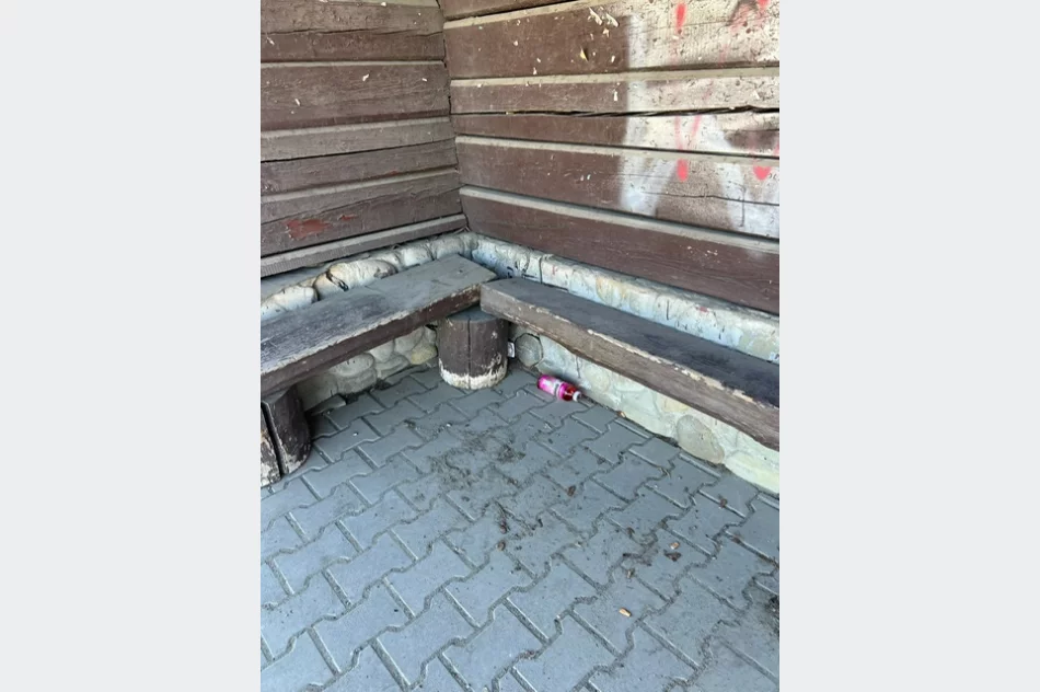Ponad 300 osób zaangażowanych, zebrano 440 worków odpadów - zdjęcie 16