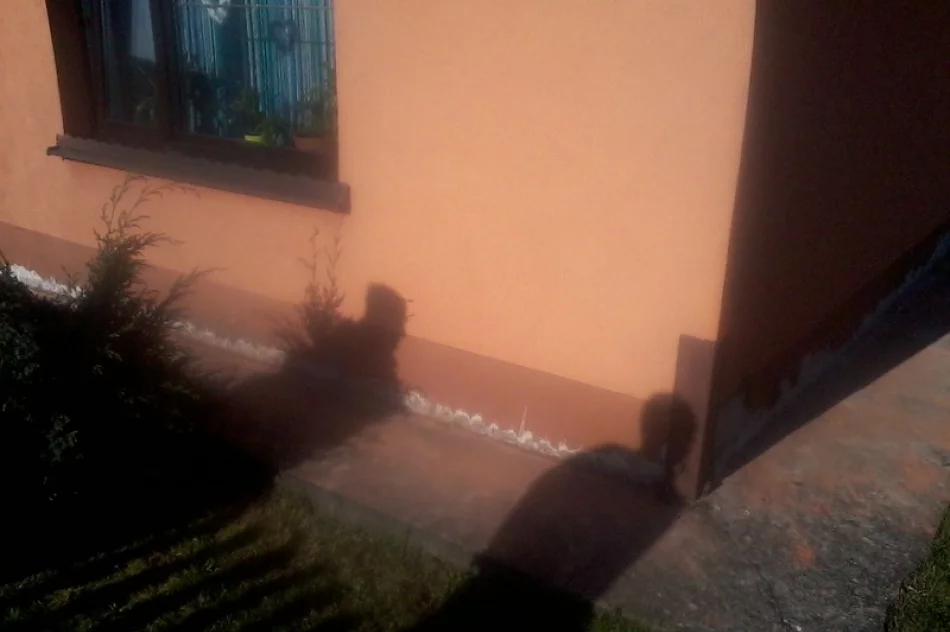 Osuszanie, izolacje, podcinka, iniekcja krystaliczna Gorlice / Małopolska - zdjęcie 4