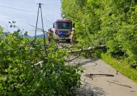Skutki silnego wiatru w regionie. PSP interweniowała trzykrotnie - zdjęcie główne