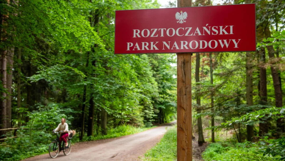Na Roztoczu pierwszy raz zaobserwowano ściśle chronioną czarną pszczołę