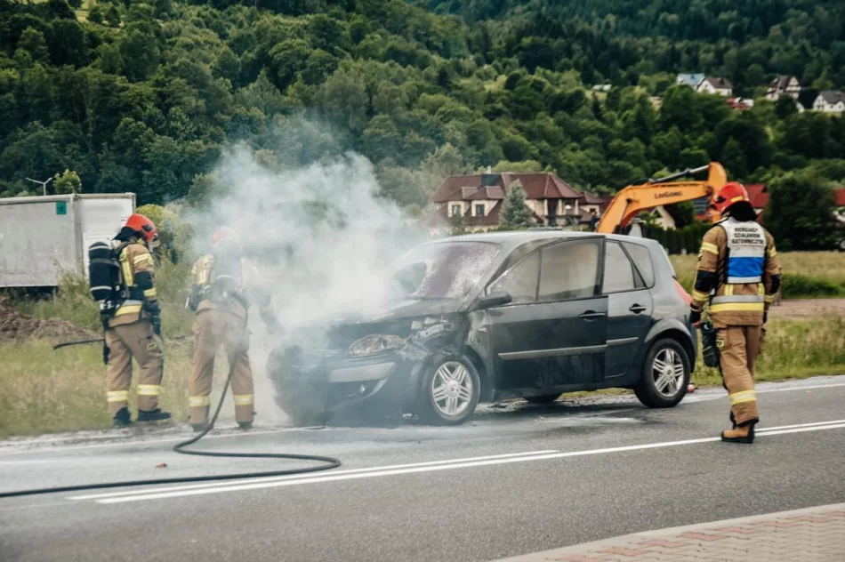 ​Pożar samochodu osobowego - zdjęcie 9