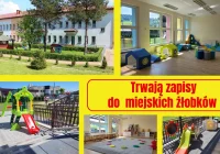 Przypominamy! Trwa rekrutacja do miejskich żłobków na rok 2025/2026!  - zdjęcie główne