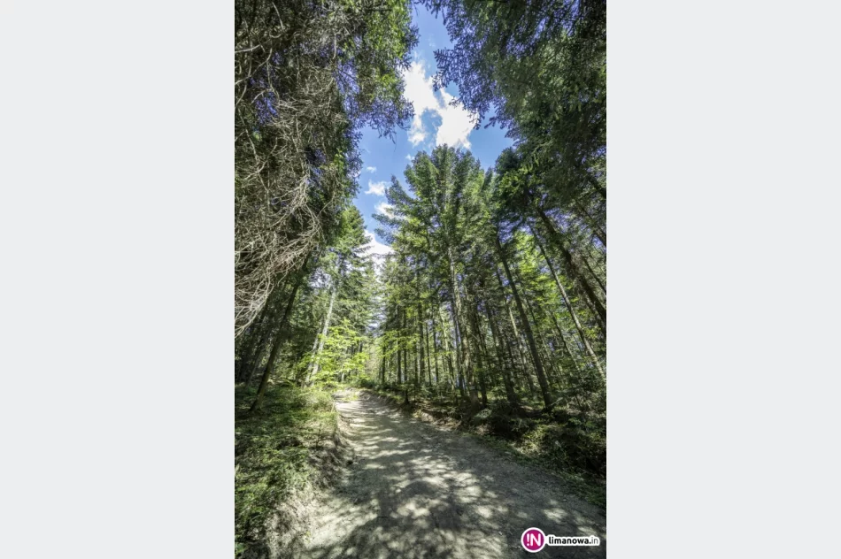 Wiosna na Mogielicy - 2018 - zdjęcie 2