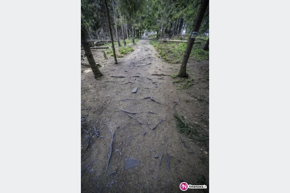 Wiosna na Mogielicy - 2018 - zdjęcie 6