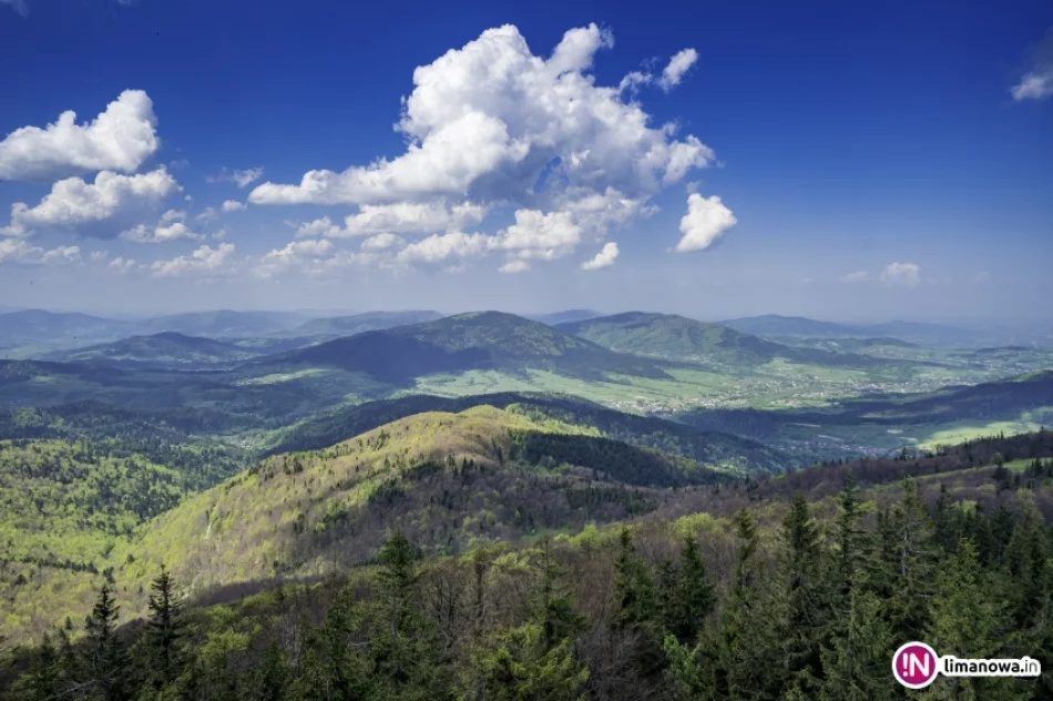 Wiosna na Mogielicy - 2018 - zdjęcie 9