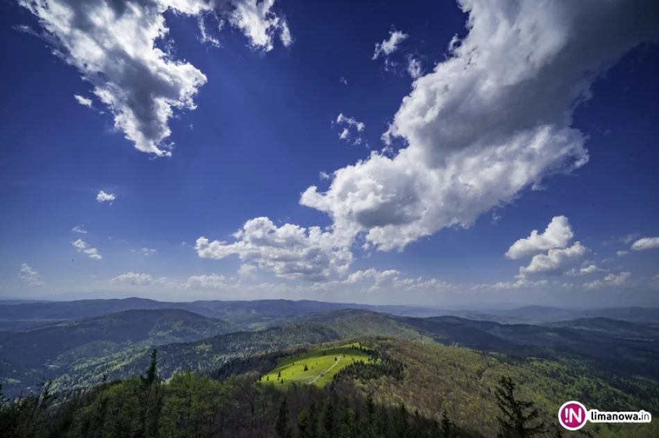 Wiosna na Mogielicy - 2018 - zdjęcie 10