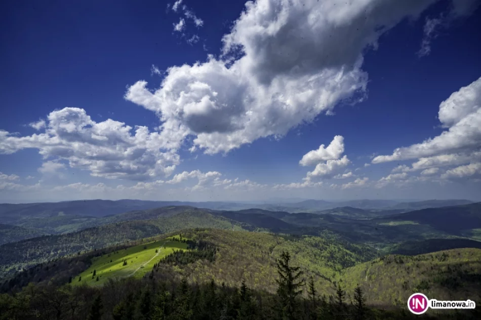 Wiosna na Mogielicy - 2018 - zdjęcie 11