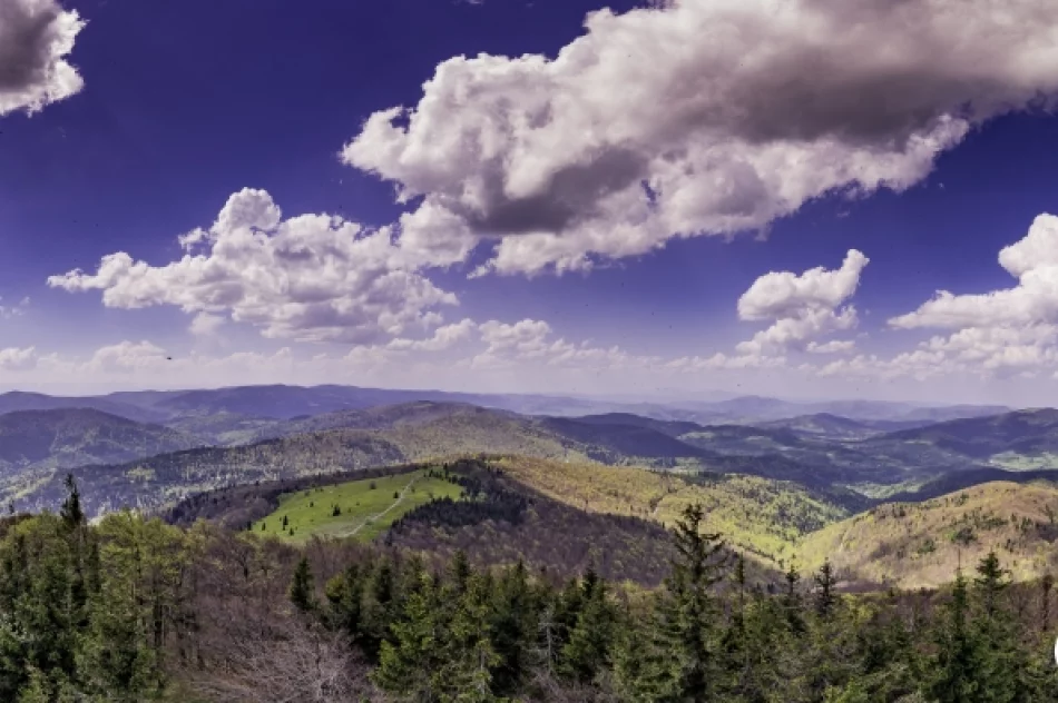Wiosna na Mogielicy - 2018 - zdjęcie 12