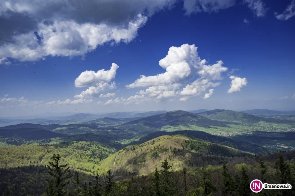 Wiosna na Mogielicy - 2018 - zdjęcie 13