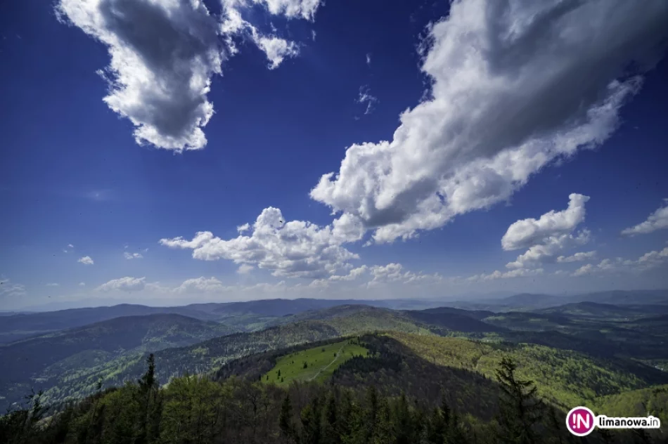 Wiosna na Mogielicy - 2018 - zdjęcie 14