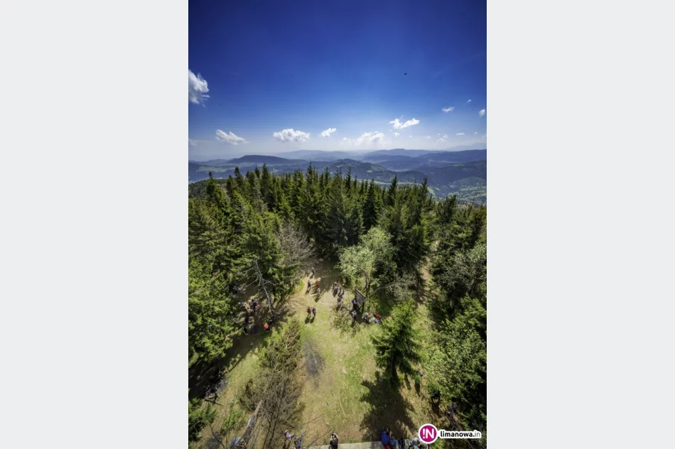 Wiosna na Mogielicy - 2018 - zdjęcie 15