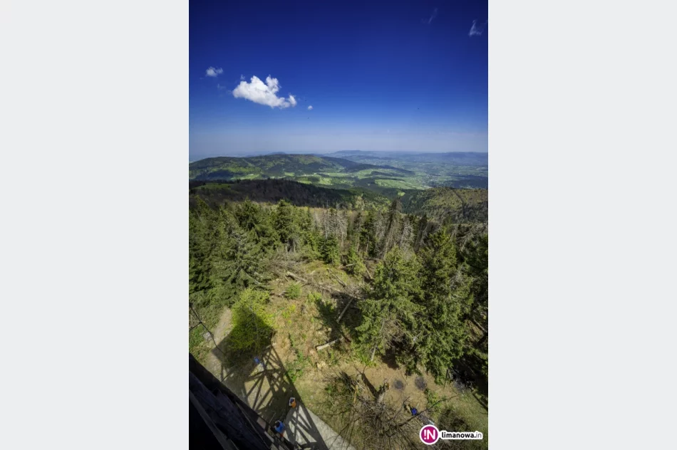 Wiosna na Mogielicy - 2018 - zdjęcie 16